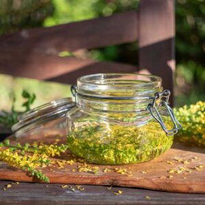 Solidago
