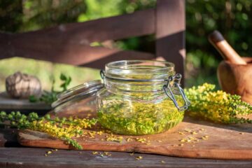 Solidago