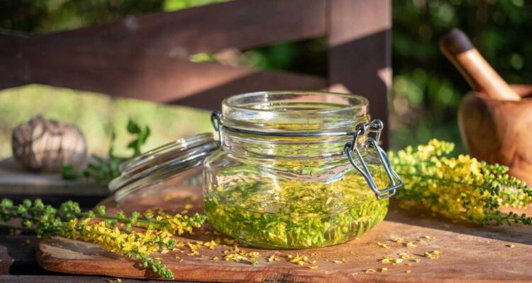 Solidago