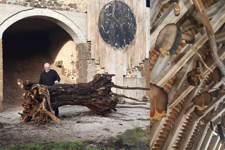 PIERRE MARTY BOIS BRÛLÉ PIERRE MARTY BOIS BRÛLÉ