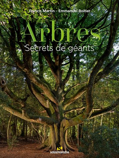 Arbres-secrets-de-geants Arbres, secrets de géants • couverture