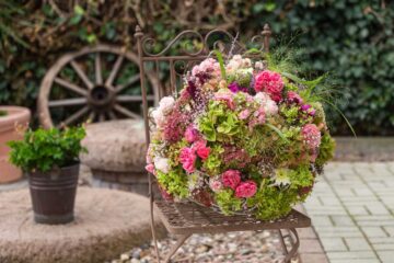 Terrasse favorable au vivant
