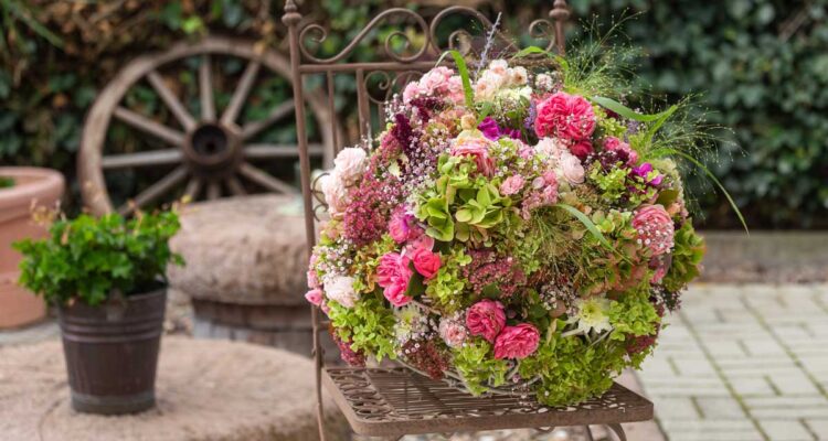 Terrasse favorable au vivant