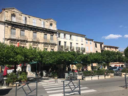 Arbres-en-ville-Forcalquier Arbres en ville
