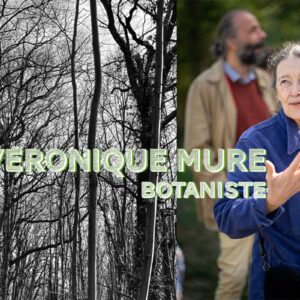 Véronique Mure, Être un arbre dans la ville