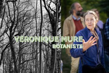 Véronique Mure, Être un arbre dans la ville