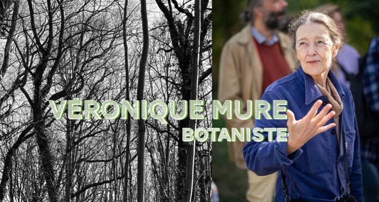 Véronique Mure, Être un arbre dans la ville