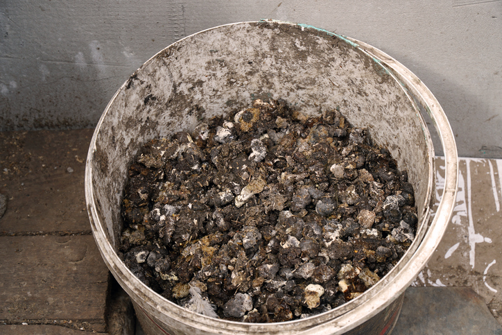 Fumier poule - Pro2sound iStock-1418650455 Fumier de poule ©Pro2sound