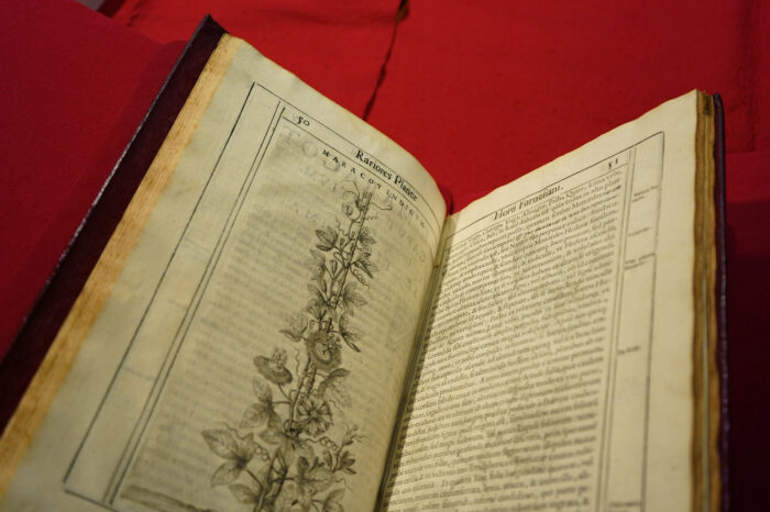 horto Farnesiano_BnF_4 ©Eléna Carloni / BnF