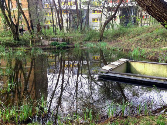 Jardin-Abbe_Pierre-mare Mare du Jardin Abbé Pierre