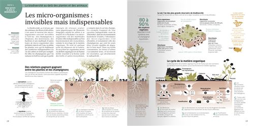 La-biodiversite-en-infographies (5) La biodiversité en infographies, l'urgence du vivant : comprendre pour agir • Tatiana Giraud, Hervé Bouilly et Catherine Huguet, préface de Valérie Masson-Delmotte • Tana Éditions • 136 p. • 24,90€.