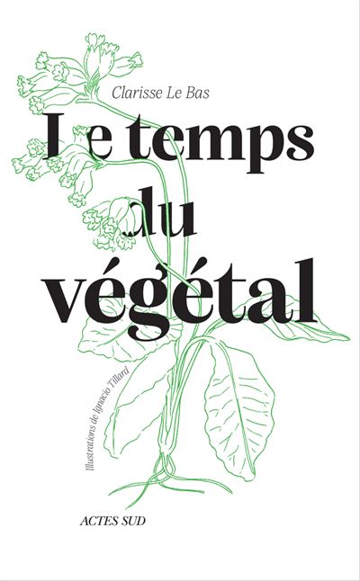 Le-temps-du-vegetal Des livres : Le temps du Végétal • couverture