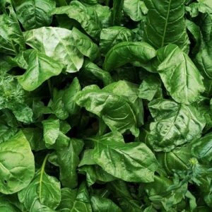 t-a-t-i-a-n-a-by-unsplash épinards frais