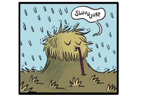 416_639098726430586998-ok Dessin d’un mottureaux. © Morgane Parisi et Germain Rousseaux, Studio Brou et CNRS.