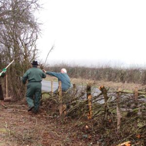 Travail du plessage