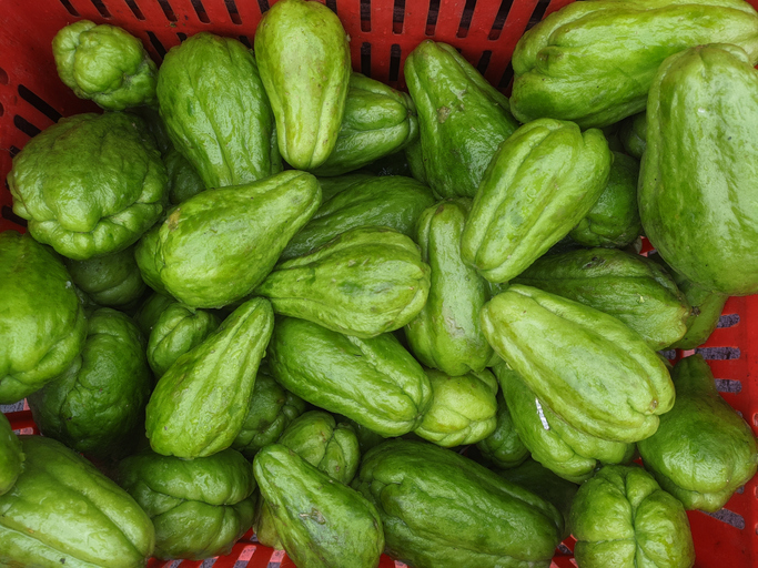 chayotte - Arda Puja iStock-1357363107 ©Arda Puja