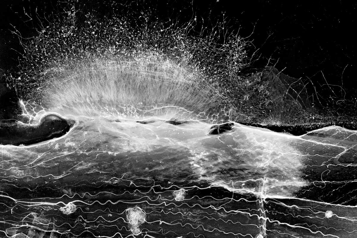 De-l'Infime-à-l'Infini De l'infime à l'infini