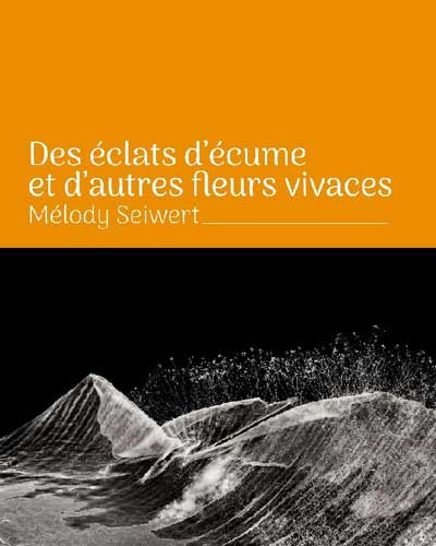 image-couverture-du-livre image-couverture-du-livre