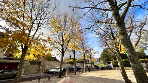 PROVINS-IV Provins • Biodiversité en Ile de France