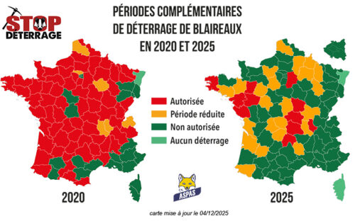 carte2020-2025-logo-small-1 carte2020-2025-logo-small-1