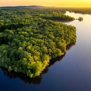 Forêts amazoniennes