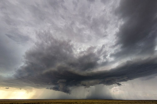 iStock-arcus-ok-2239940442-Stefan-Klein Arcus