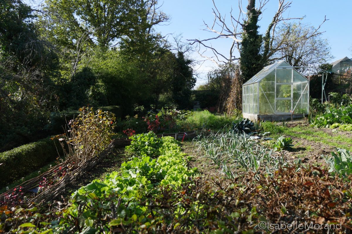 Potager. Creuse Un potager dans la Creuse