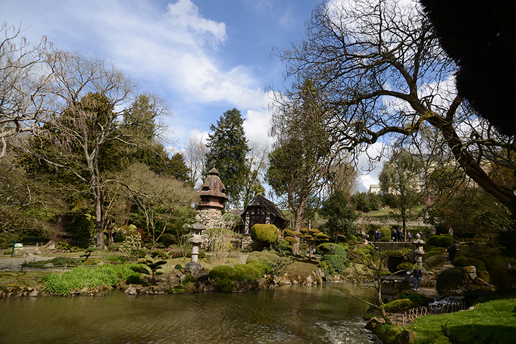 Parc oriental de Maulévrier : Hanami Parc oriental de Maulévrier : Hanami