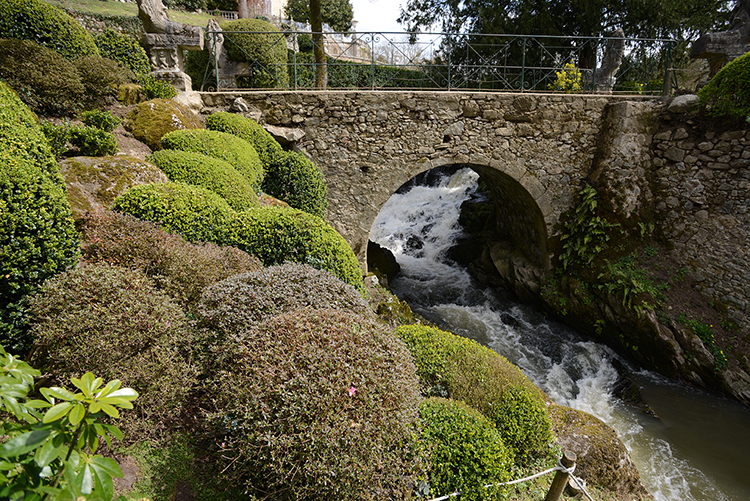 Parc oriental de Maulévrier : Hanami Parc oriental de Maulévrier : Hanami