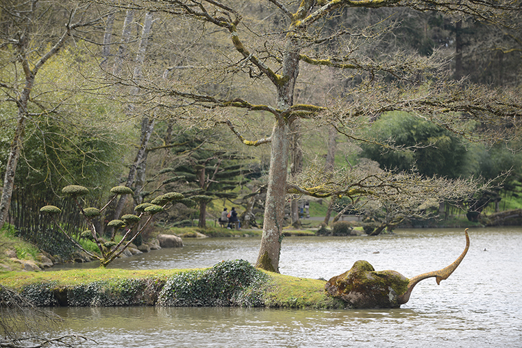 Parc oriental de Maulévrier : Hanami Parc oriental de Maulévrier : Hanami