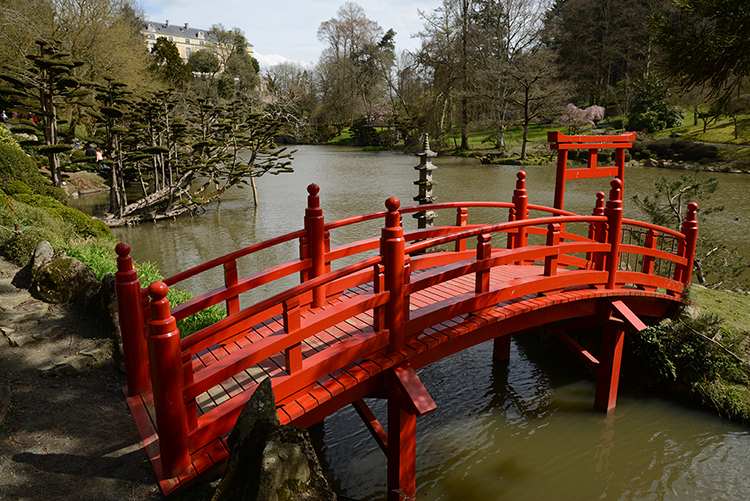 Parc oriental de Maulévrier : Hanami Parc oriental de Maulévrier : Hanami